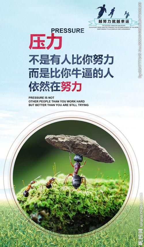 举石头照片,举石瞬间，力量与美的完美融合