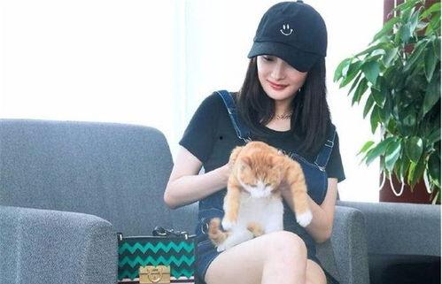 明星养仓鼠,揭秘明星与仓鼠的温馨日常