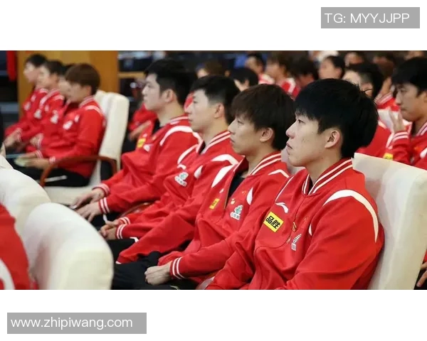 南京乒乓球队灵活性引发热议球迷与专家观点交锋探讨球队未来发展