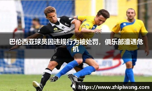 NG体育平台