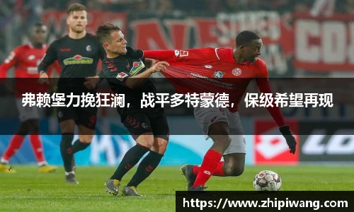 弗赖堡力挽狂澜，战平多特蒙德，保级希望再现