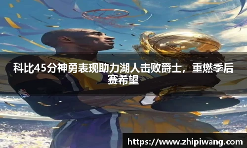 NG体育平台