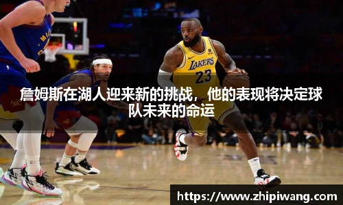 NG体育官方网站