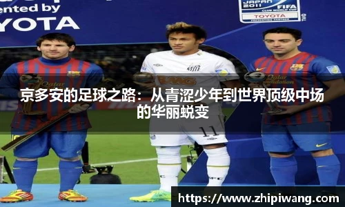 NG体育官方网站
