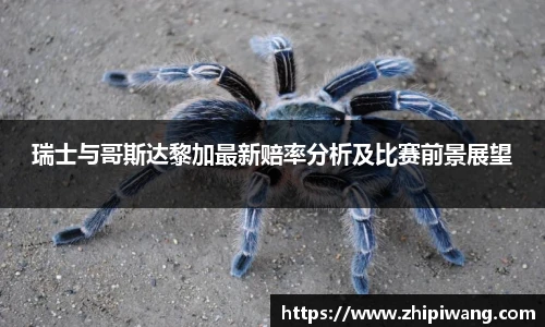 NG南宫体育