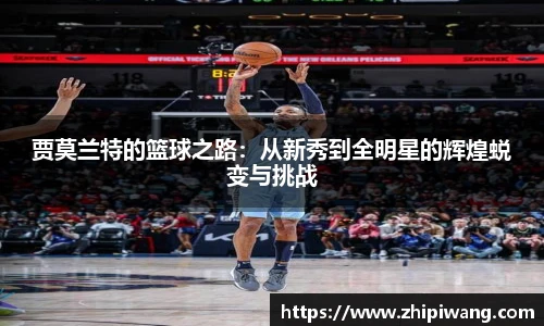 NG体育官方网站